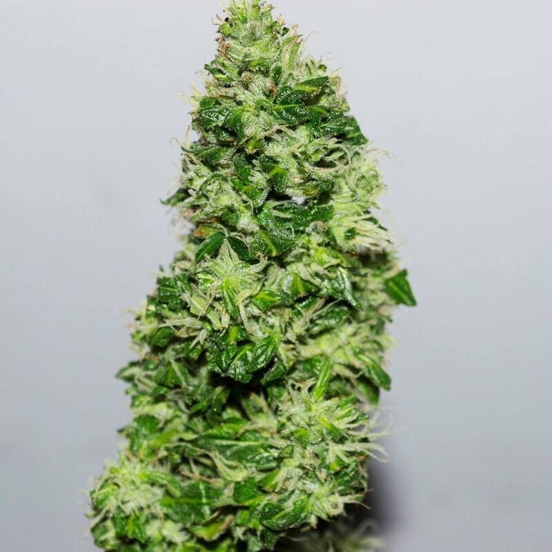 CBD Crack Auto, Фасовка: 5, изображение 4